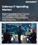 Global Defense IT Spending Market