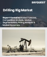 Global Drilling Rig Market