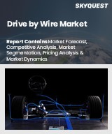 Global Drive by Wire Market