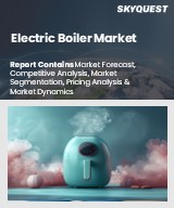 Global Electric Boiler Market