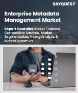 Enterprise Metadata Management Market