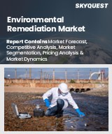Global Environmental Remediation Market