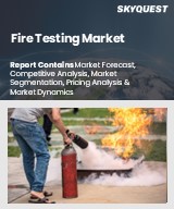 Global Fire Testing Market