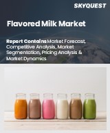 Global Flavored Milk Market