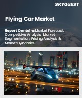 Flying Car Market