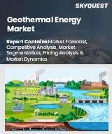Global Geothermal Energy Market
