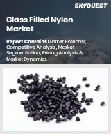 Global Glass Filled Nylon Market