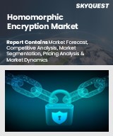 Global Homomorphic Encryption Market
