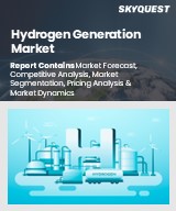 Global Hydrogen Generation Market