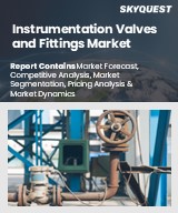 Global Instrumentation Valves and Fittings Market