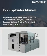 Global Ion Implanter Market