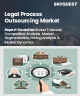 Global Legal Process Outsourcing Market