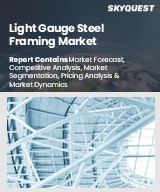 Global Light Gauge Steel Framing Market