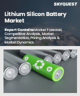 Global Lithium Silicon Battery Market
