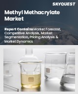 Global Methyl Methacrylate Market
