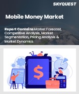 Global Mobile Money Market