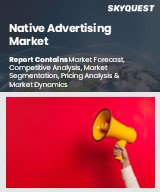 Global Native Advertising Market
