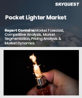 Global Pocket Lighter Market