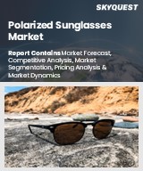 Global Polarized Sunglasses Market