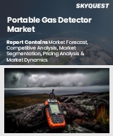 Portable Gas Detector Market