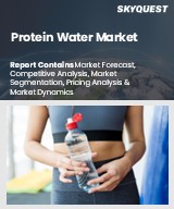 Global Protein Water Market