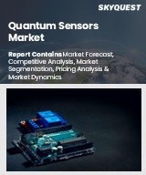 Global Quantum Sensors Market