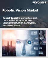 Global Robotic Vision Market