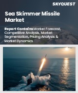 Global Sea Skimmer Missile Market