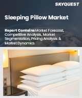 Global Sleeping Pillow Market