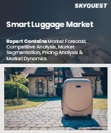 Global Smart Luggage Market
