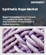Global Synthetic Rope Market