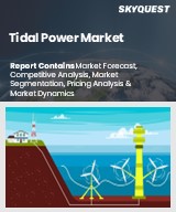 Global Tidal Power Market