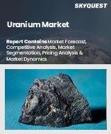 Global Uranium Market