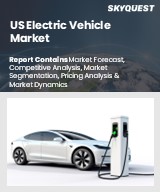 US Electric Vehicle Market