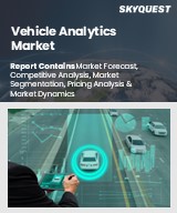 Global Vehicle Analytics Market