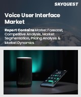 Global Voice User Interface Market