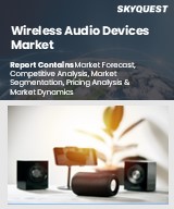 Global Wireless Audio Devices Market