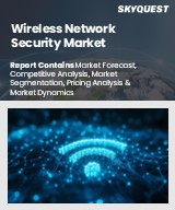 Global Wireless Network Security Market
