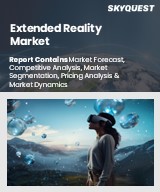 Global Extended Reality Market