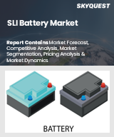 Global SLI Battery Market