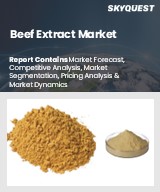 Global Beef Extract Market