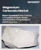 Magnesium Carbonate Market