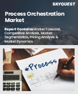 Global Process Orchestration Market