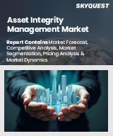 Global Asset Integrity Management Market