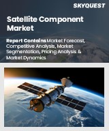 Global Satellite Component Market