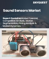 Global Sound Sensors Market