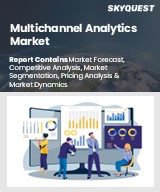 Global Multichannel Analytics Market