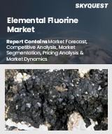Global Elemental Fluorine Market