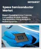 Global Space Semiconductor Market