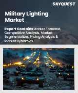 Global Military Lighting Market